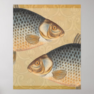 Póster Peixes+trabalho de arte+design+pesca+pesca+pesca