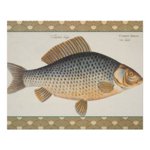 Póster Peixes+trabalho de arte+design+pesca+pesca+pesca