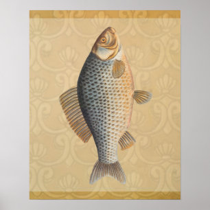 Póster Peixes+trabalho de arte+design+pesca+pesca+pesca