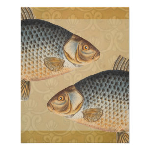 Póster Peixes+trabalho de arte+design+pesca+pesca+pesca