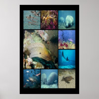 Peixes tropicais Vida aquática