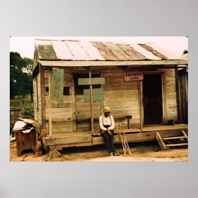 Póster Peixes Vivos Para Venda (Frente)