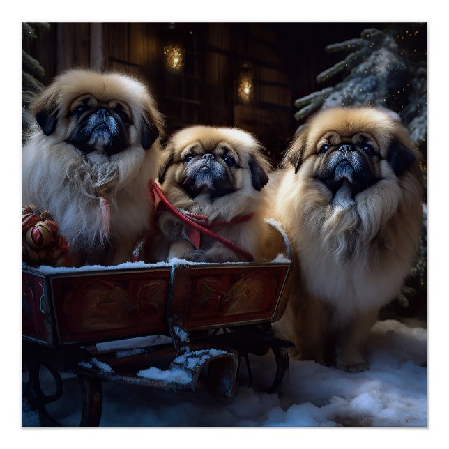Póster Pekingese Christmas Fesason Season (Frente)