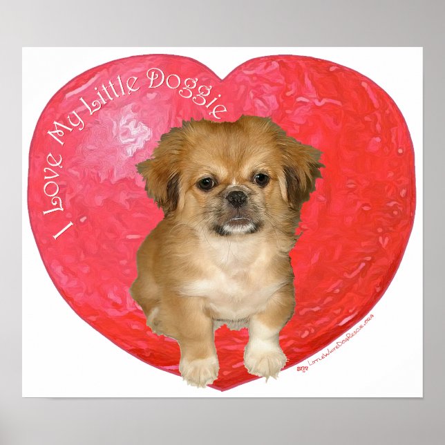 Póster Pekingese / Shih Tzu Dia dos Namorados (Frente)