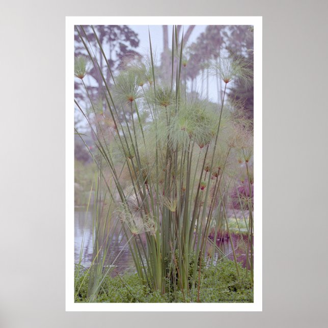 Poster Pela Água, Papai noel Barbara (poster) (Frente)