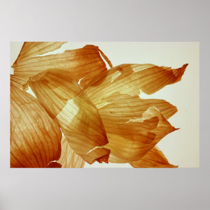 Poster Pele de cebola