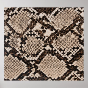 Poster Pele de cobra: fundo texturizado.