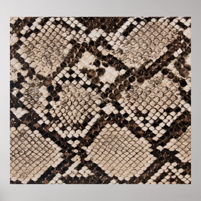 Poster Pele de cobra: fundo texturizado. (Frente)