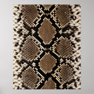 Poster Pele de Coluna de Anca Diamond