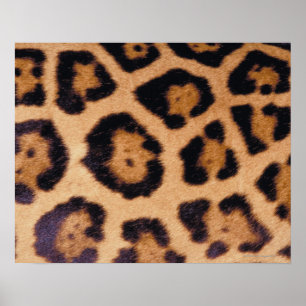 Póster Pele do leopardo