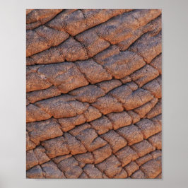 Poster Pele Elefante