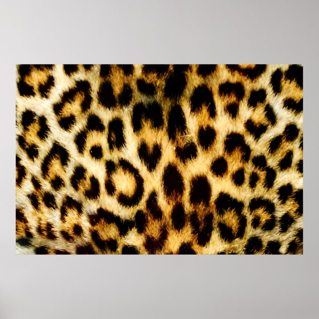 Poster Pele-leopardo (Frente)