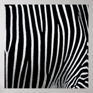 Poster Pele Zebra