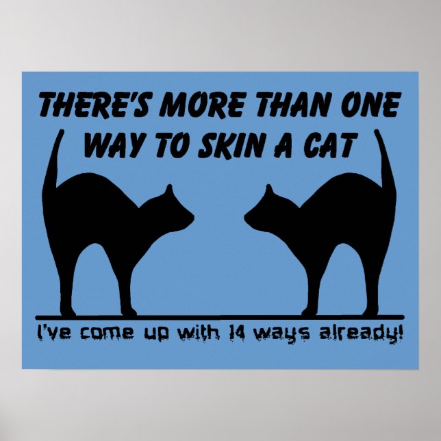 Poster Pelejar um Gato Cartaz Divertido Sinal Humor (Frente)