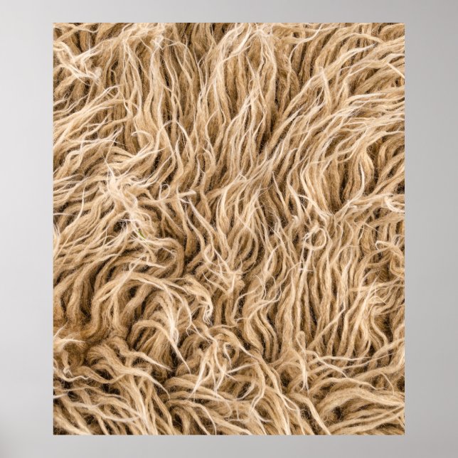 Poster Peles de animais (Frente)