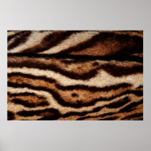 Poster peles de leopardo nubladas