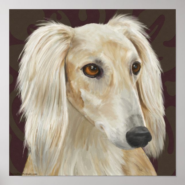 Póster Peles lindas e leves Cachorro Saluki no fundo cast (Frente)