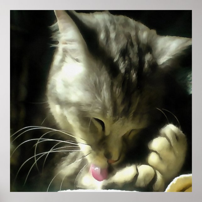 Póster Peles Maciças E Suaves E Púrpura De Uma Gata De Ci (Frente)