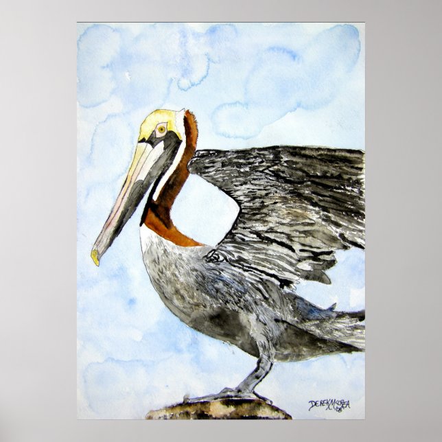 Poster pelican_4_bird_painting (Frente)