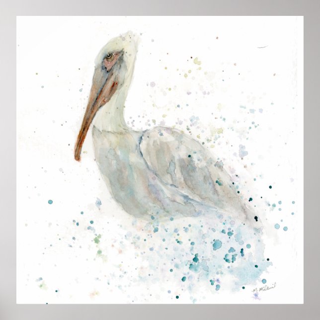Poster Pelican aqucolor loso (Frente)