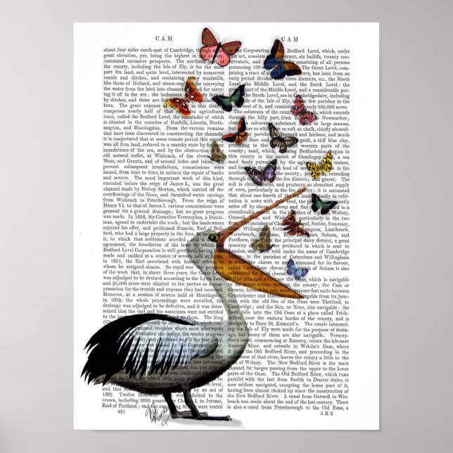 Poster Pelican & Butterflies (Frente)
