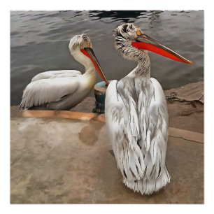 Póster Pelicanos - A Cinza Gira o Retrato Artístico