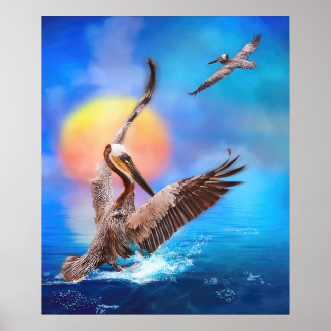 Poster Pelicanos castanhos "SUN BEIJADO PELICANS" (Frente)