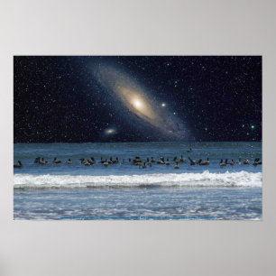 Póster Pelicanos da galáxia