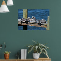 Pelicanos descansando em uma doca