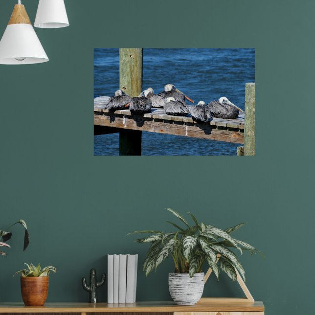 Poster Pelicanos descansando em uma doca (Sala de Estar 1)