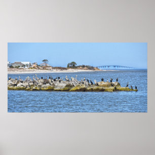 Poster Pelicanos e Corvos-marinhos e Ponte da Ilha de Dau