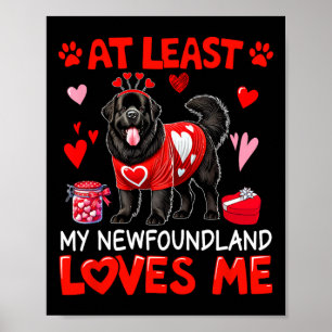 Poster Pelo Menos Meu Newfoundland Me Ama no Pecado do Di