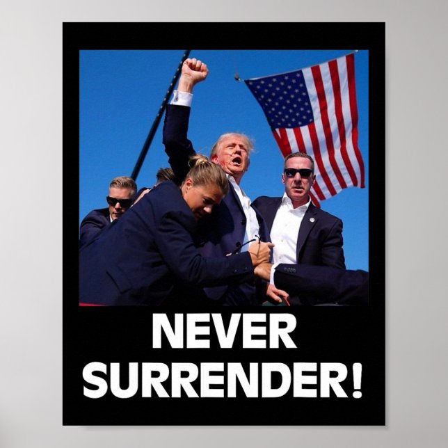 Poster Pelo Presidente Trump3 (Frente)
