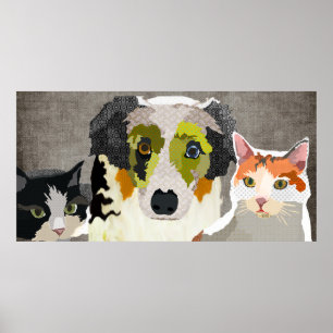 Poster peludo dos amigos