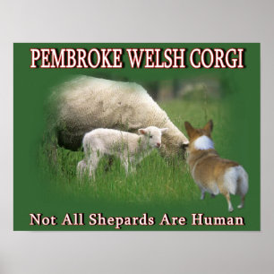 PÓSTER PEMBROKE WELSH CORGI