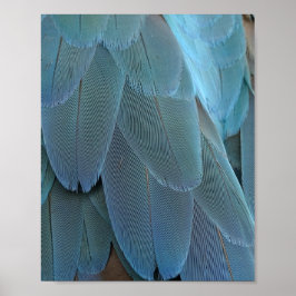 Poster Pena Azul