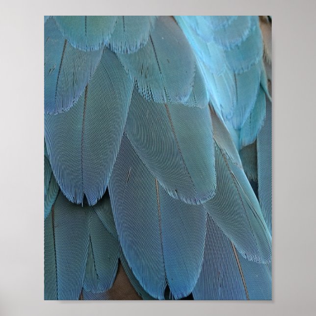Poster Pena Azul (Frente)