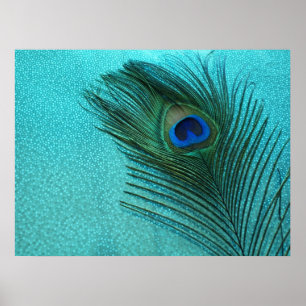Póster Pena azul do pavão do Aqua metálico