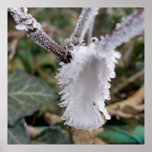 Poster pena congelada