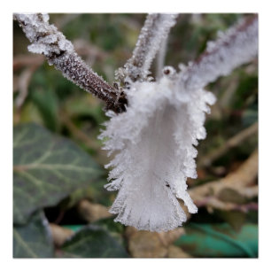 Póster pena congelada