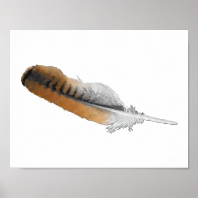 Póster pena de Falcão-de-cauda-vermelha (Frente)