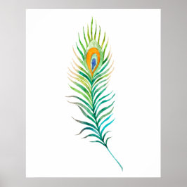 Poster pena de pavão em aquarela verde