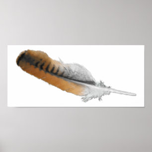 Póster Pena Hawk de cauda vermelha