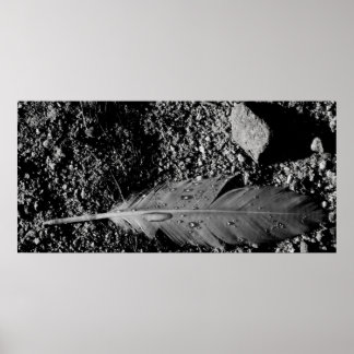 Póster Pena molhada