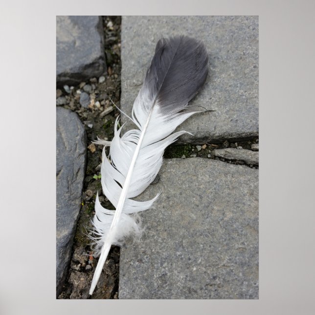 Póster pena no chão (Frente)