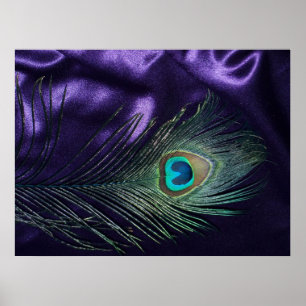 Póster Pena roxa impressionante do pavão