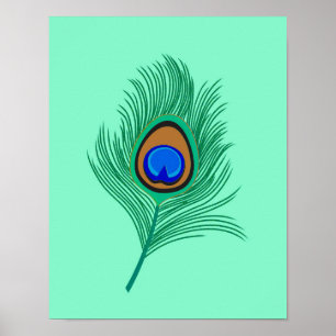 Poster Pena Turquesa de Pavão em Aqua Claro