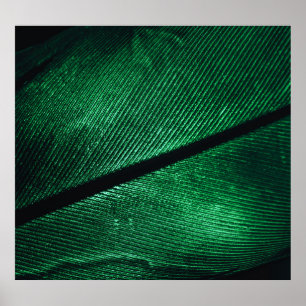 Poster Pena Verde, Linda Textura Padrão.