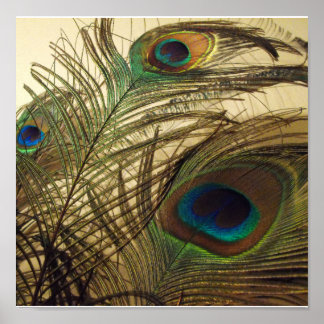 Póster Penas de cascos