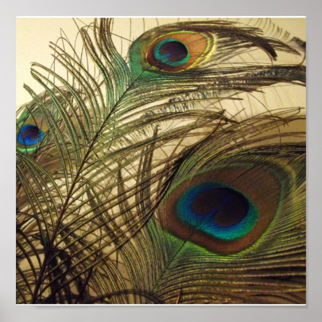 Póster Penas de cascos (Frente)